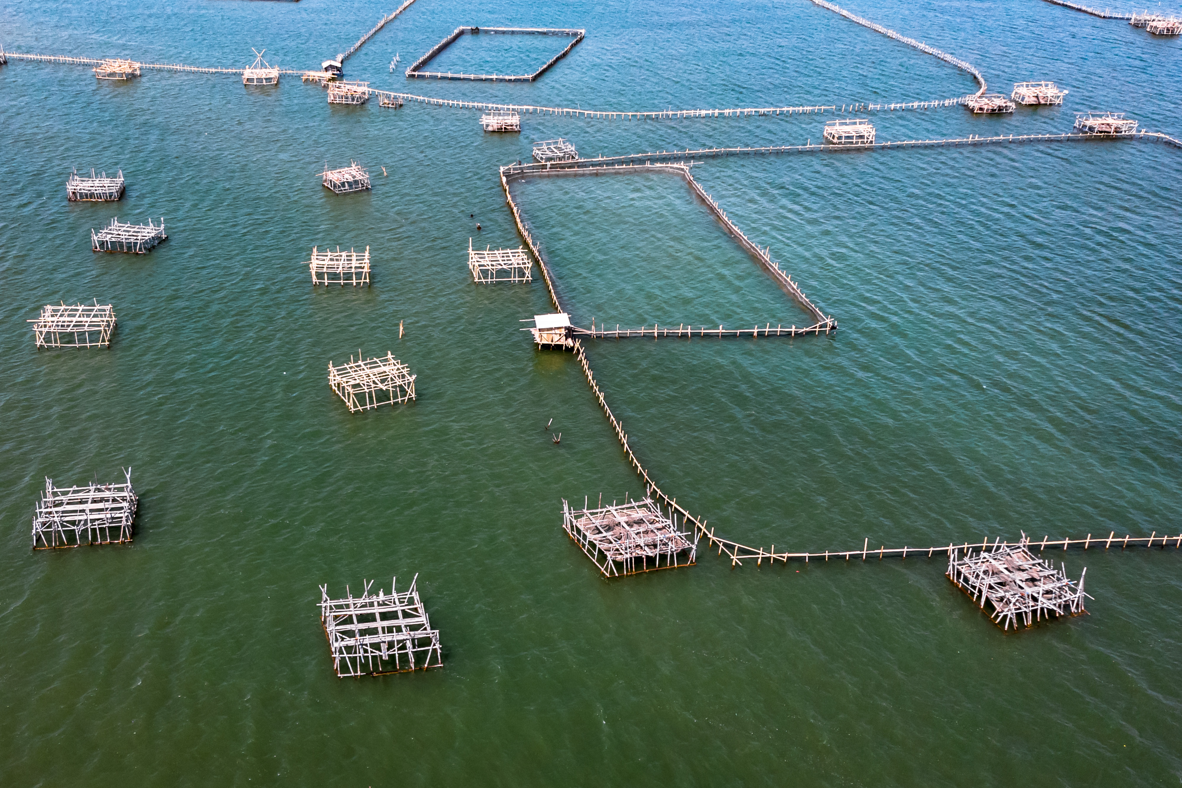 Sejumlah bagan tancap digunakan nelayan untuk menjaring udang putih dan membudidayakan kerang hijau di perairan Tanjung Emas, Semarang.