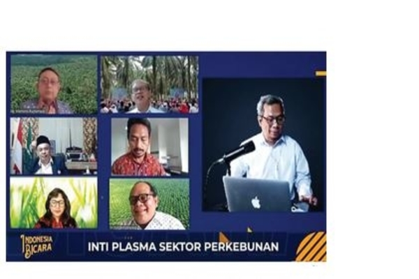 Inti Plasma Sektor Perkebunan