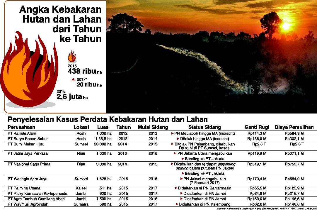 Penegakan hukum karhutla.