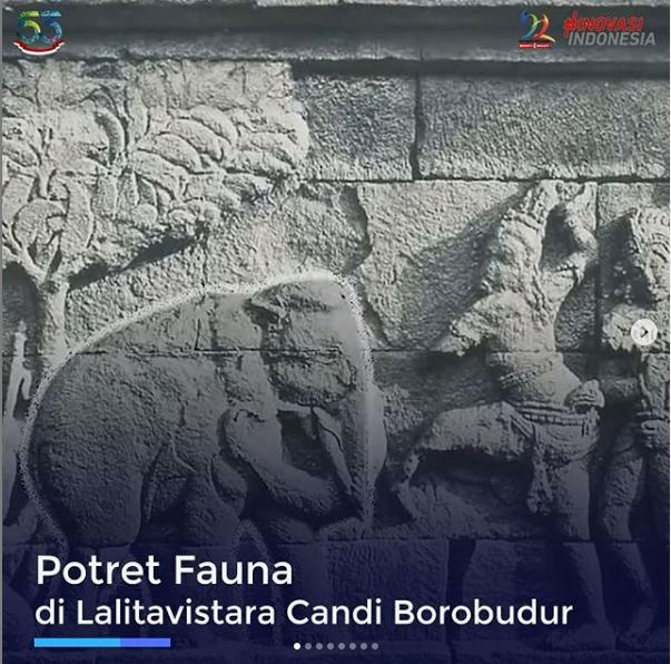 Potret Fauna di relief Candi Borobudur.