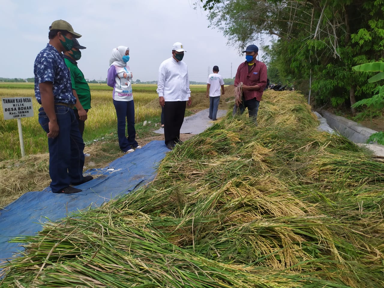 Paslon BHS-Taufiq Ingin Sidoarjo Jadi Lumbung Padi