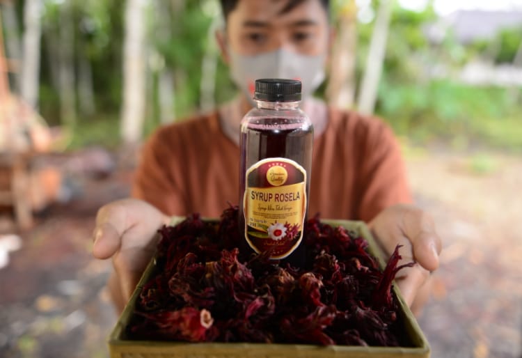 Ahmad, pemuda Desa Teluk Karya, Kabupaten Balangan, Kalimantan Selatan menggeluti usaha sirup rosela.