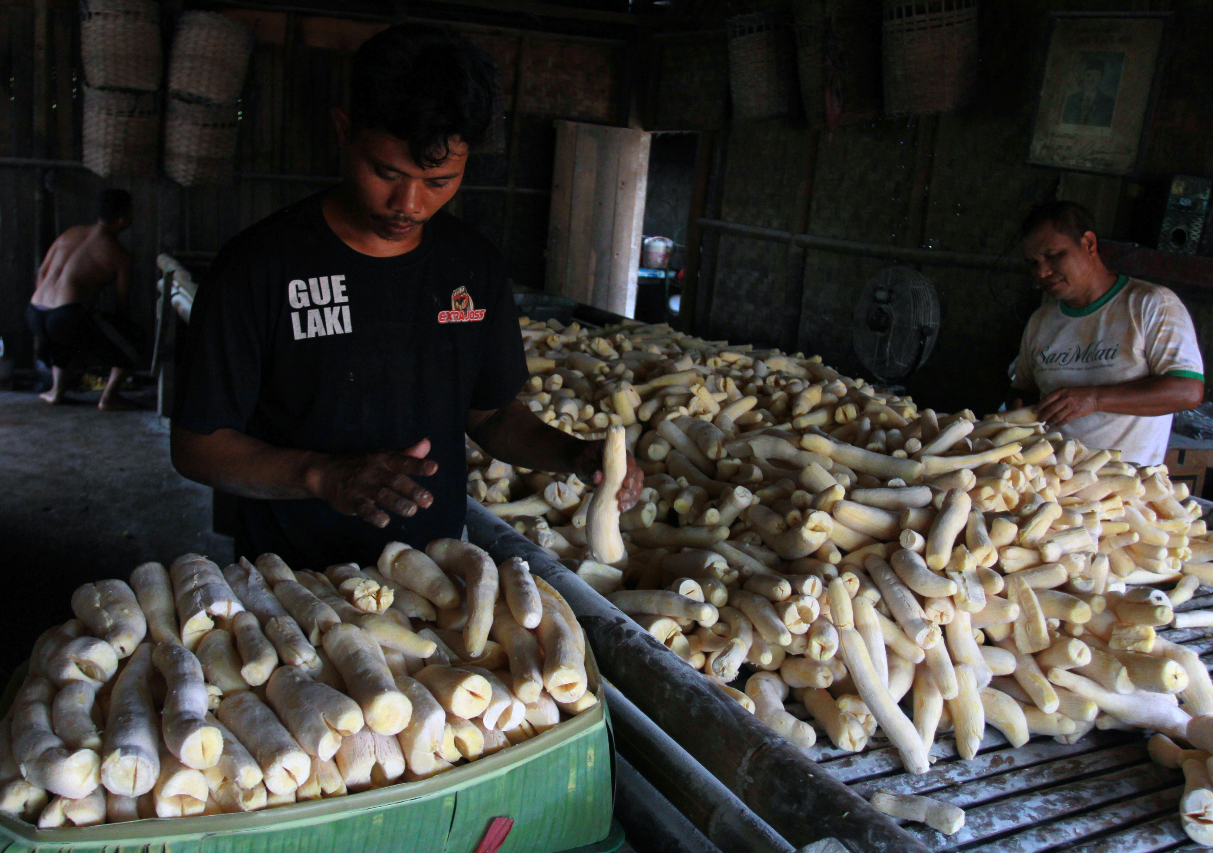  Pekerja menata tapai singkong di industri rumahan tapai singkong Pengasinan, Bogor, Jawa Barat, Rabu (7/10/2020).