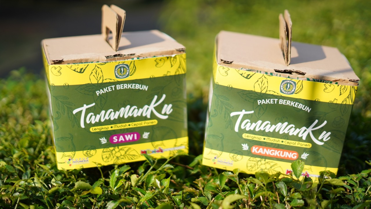 Growing kit bernama 'TanamanKu'.