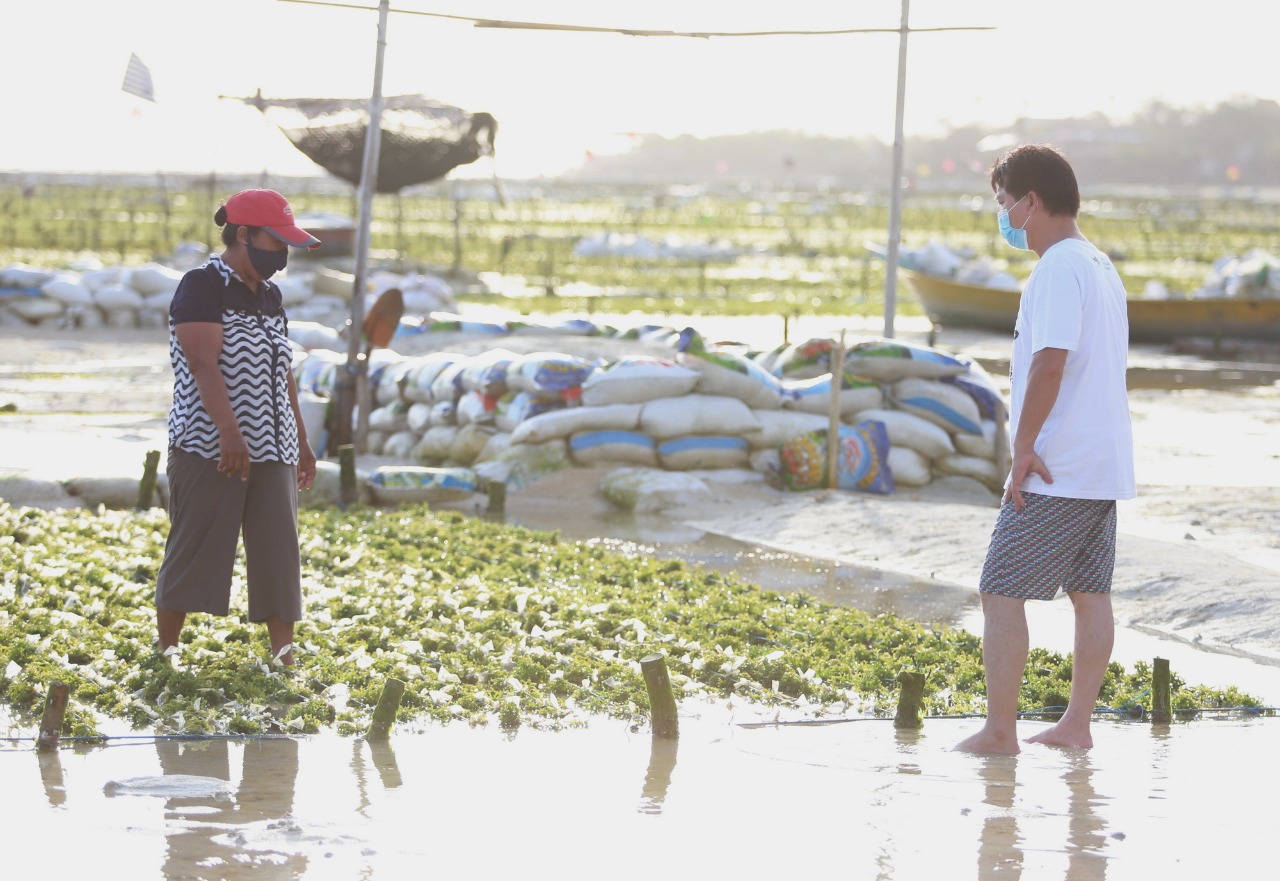 Bupati Klungkung, Bali, I Nyoman Suwirta (kanan) saat menemui petani rumput laut di Nusa Lembongan dan Nusa Penida. 