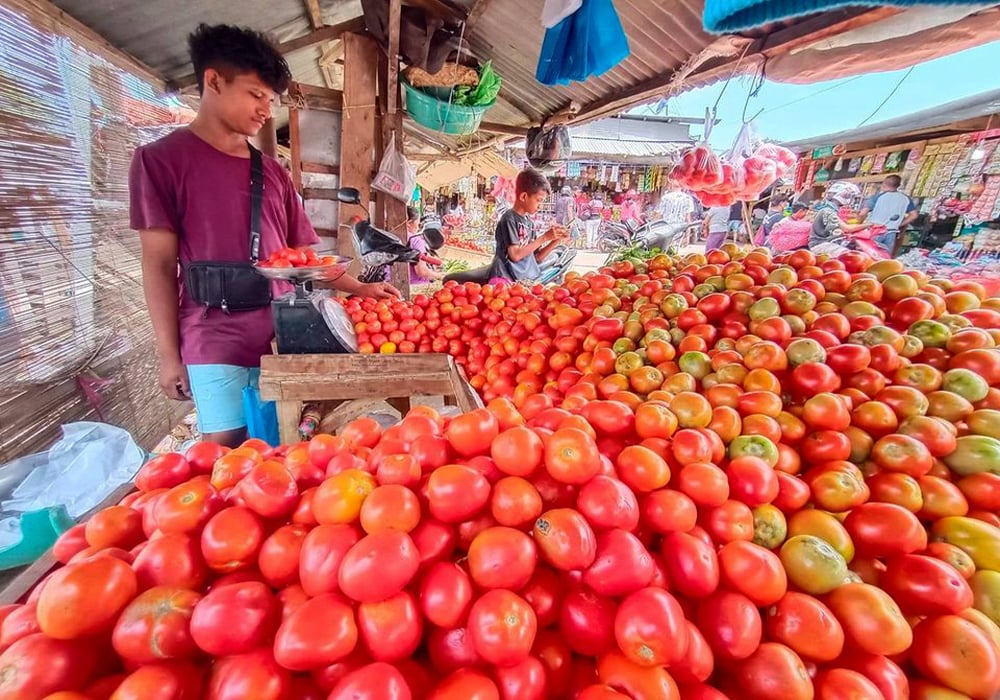 Panen Melimpah, Harga Tomat dan Cabai di Kupang Anjlok
