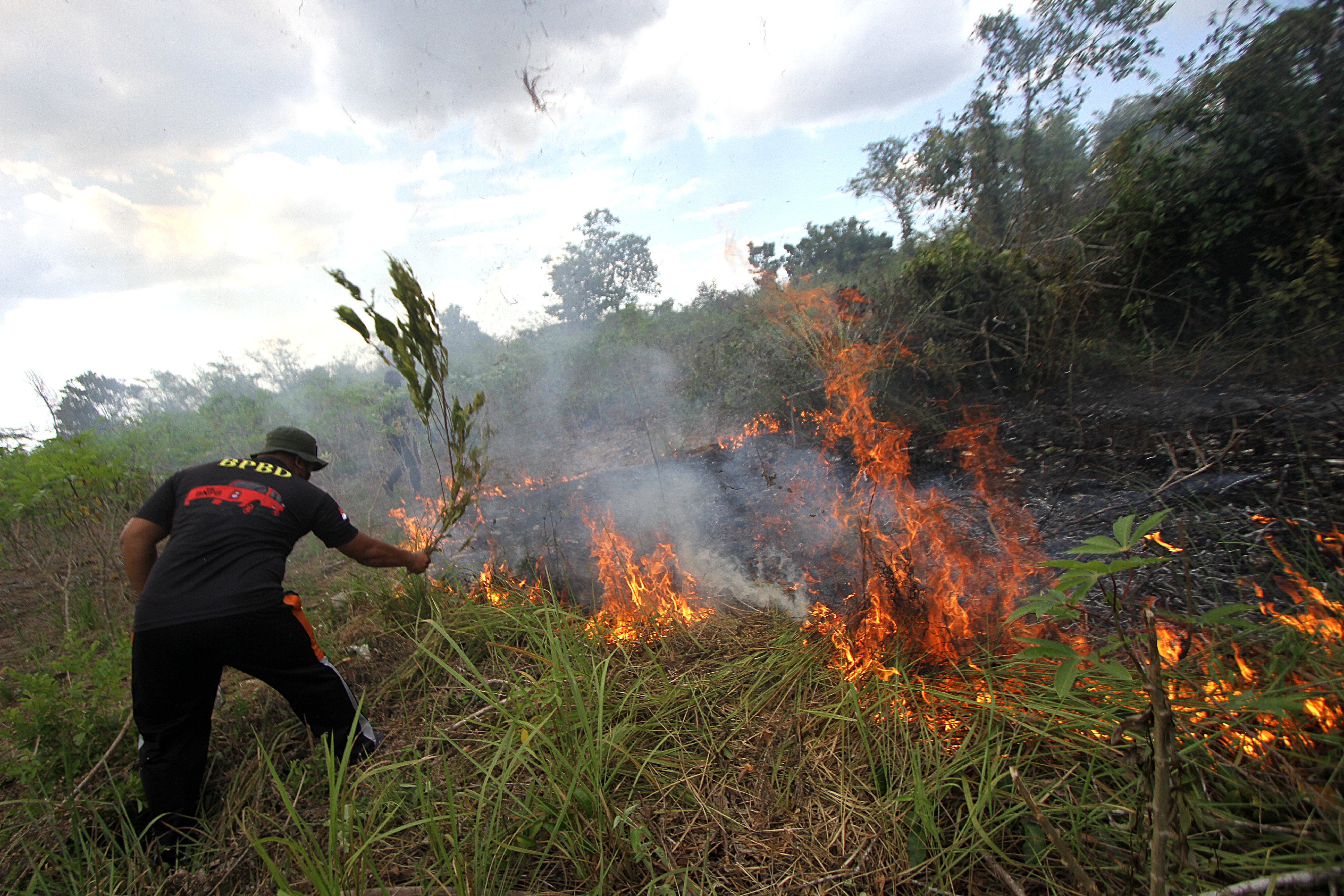 Petugas BPBD Kalimantan Selatan berupaya memadamkan api yang membakar semak belukar di Banjarbaru, Kalsel.