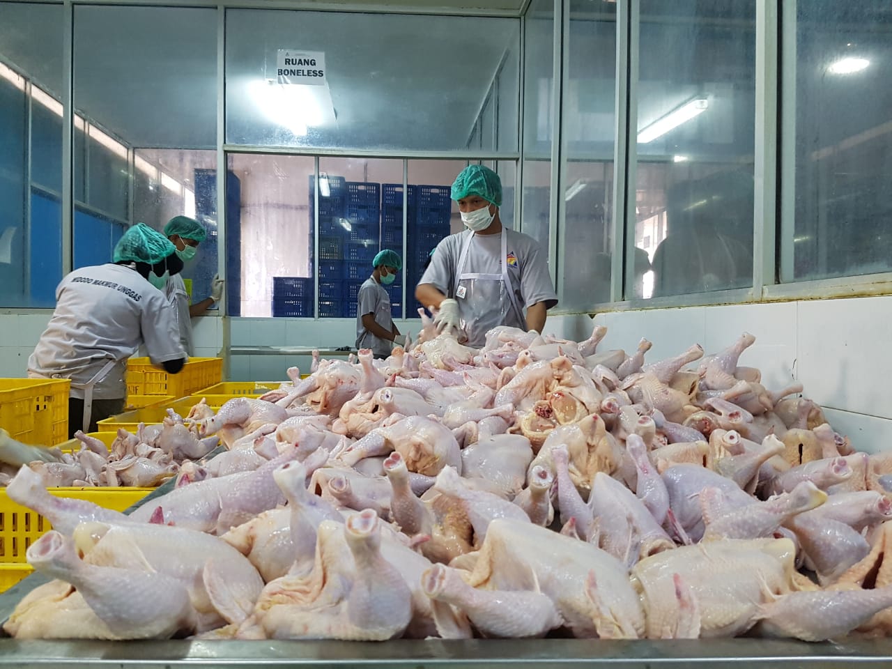 Konsumsi daging ayam akan meningkat seiring peningkatan GDP Indonesia