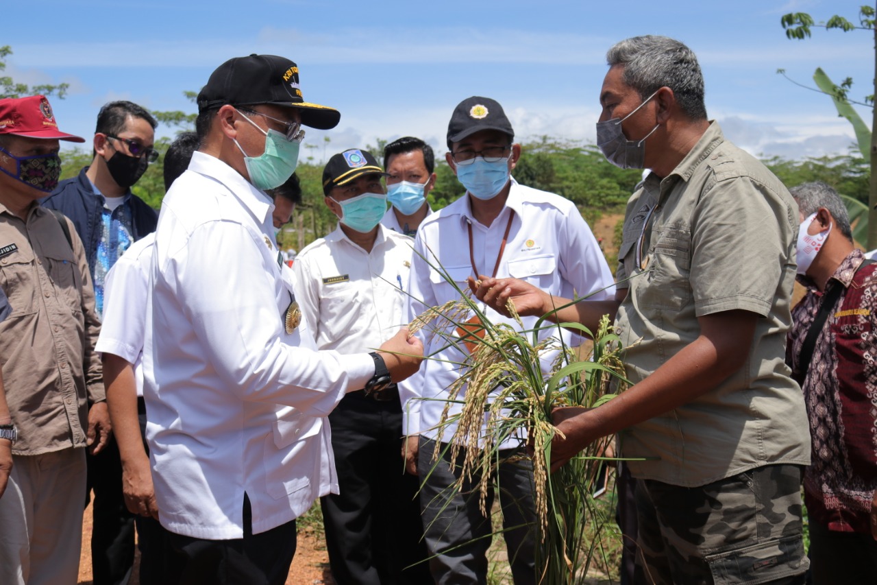 Gubernur Babel Erzaldi Rosman (kedua dari kiri)