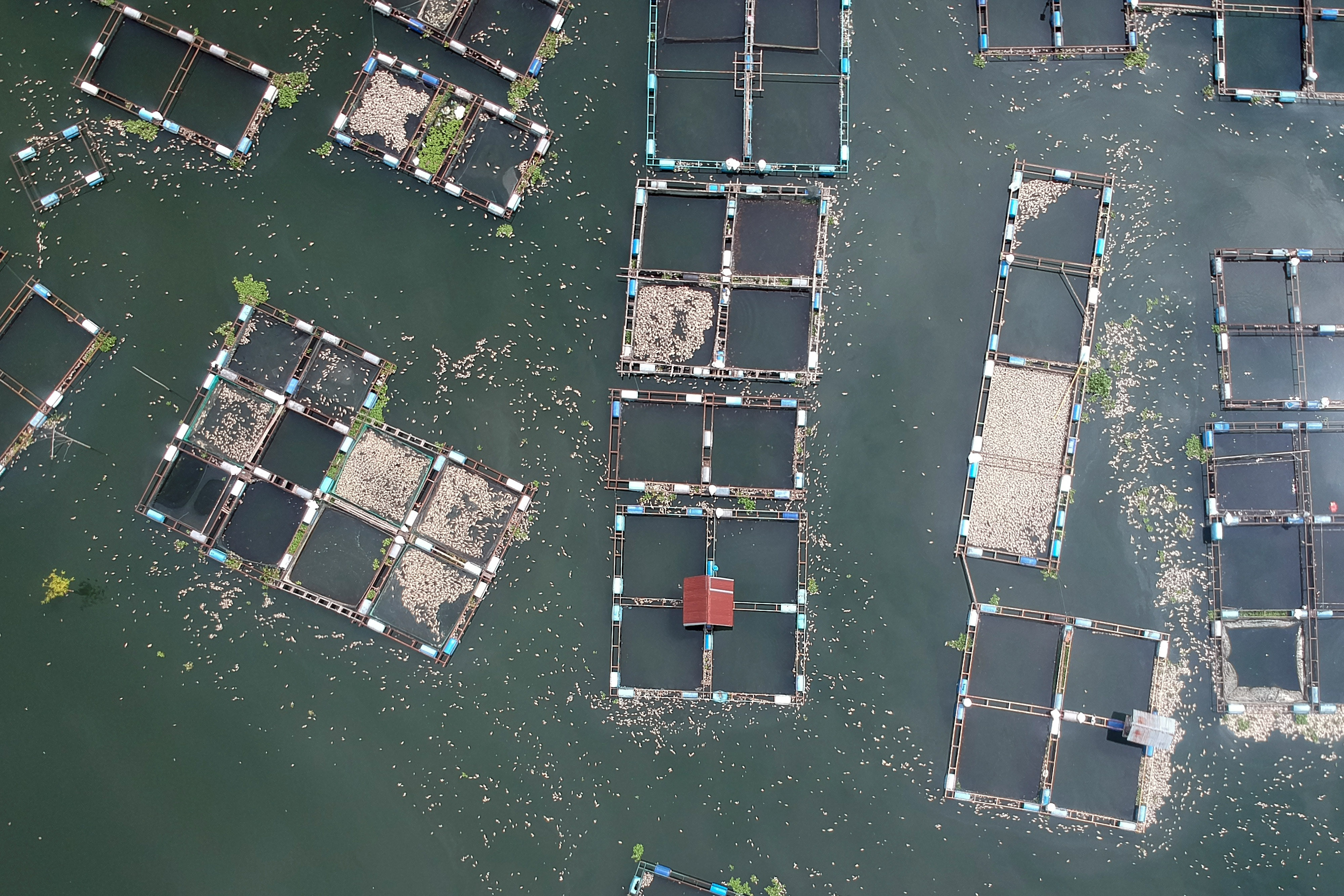 Keramba jaring apung.