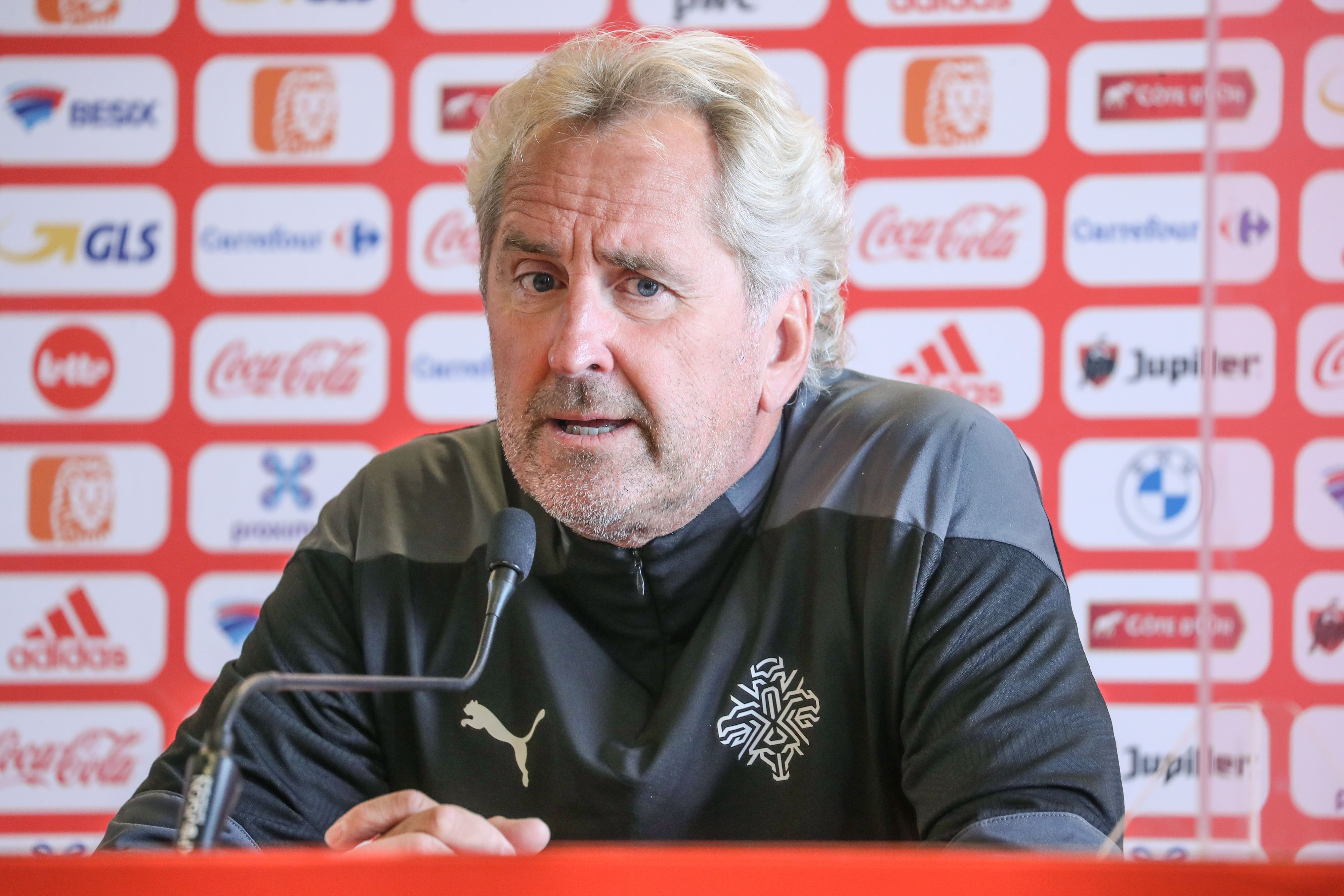 Pelatih kepala Islandia Erik Hamren