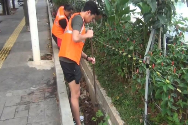 Ilustrasi -- Pelanggar PSBB di Danau Sunter, Jakarta Utara, diberi sanksi menyapu, Senin, 1 Juni 2020.