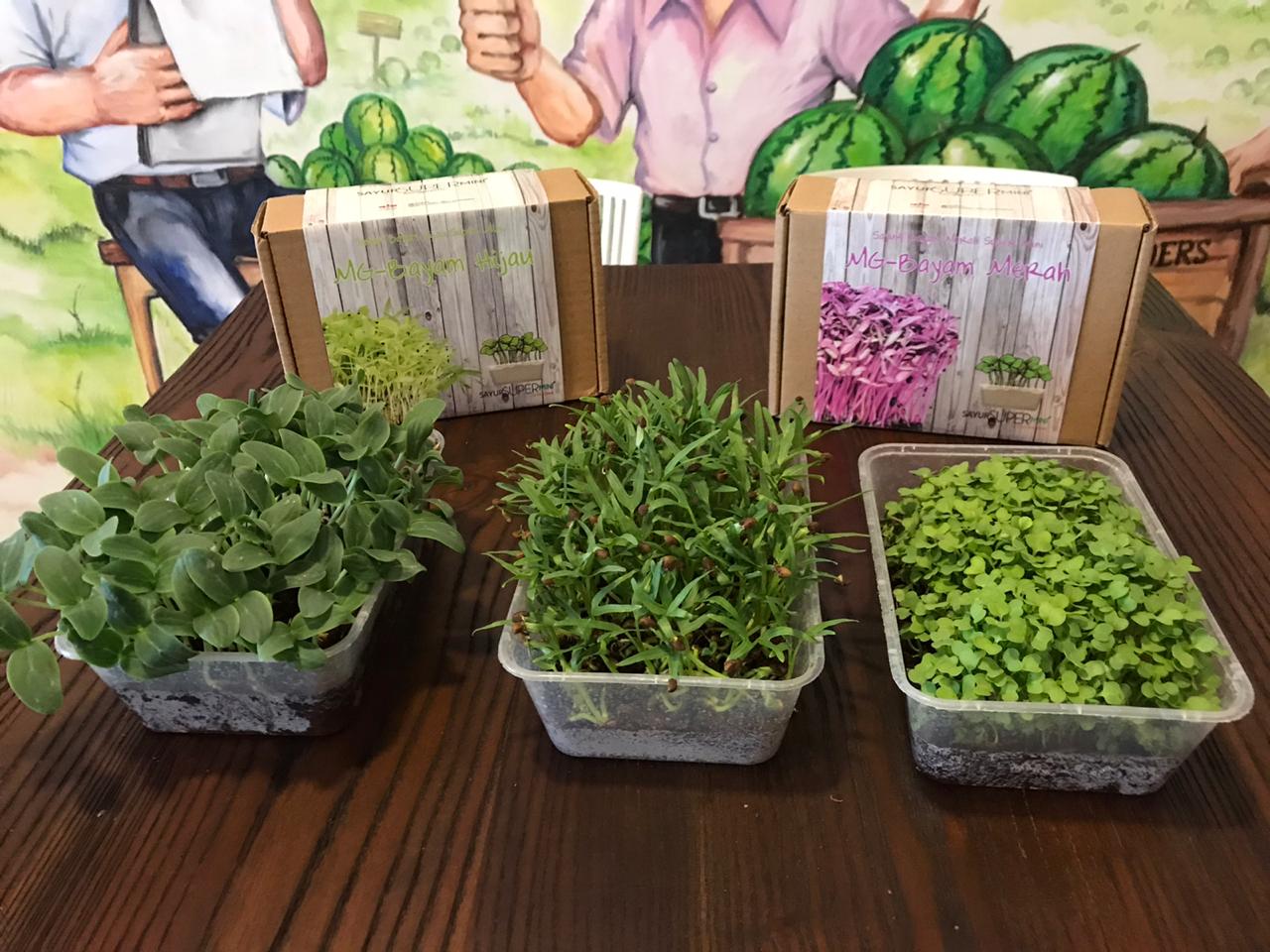 Dukung Ekonomi Kreatif Masyarakat di Tengah Pandemi Covid-19