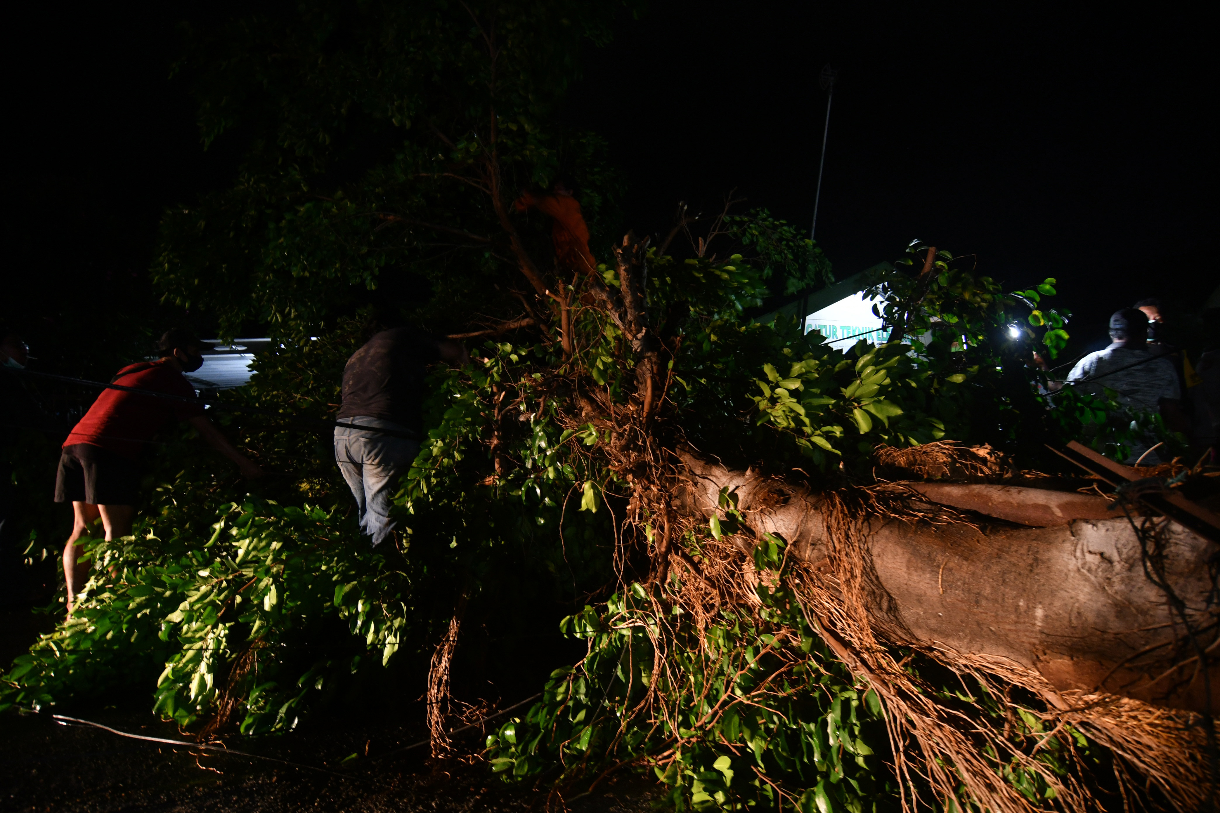 DAMPAK CUACA BURUK DI PALU: Petugas bersama warga berada di sekitar pohon yang tumbang dan menutupi badan jalan di Jalan Tanjung Harapan,  