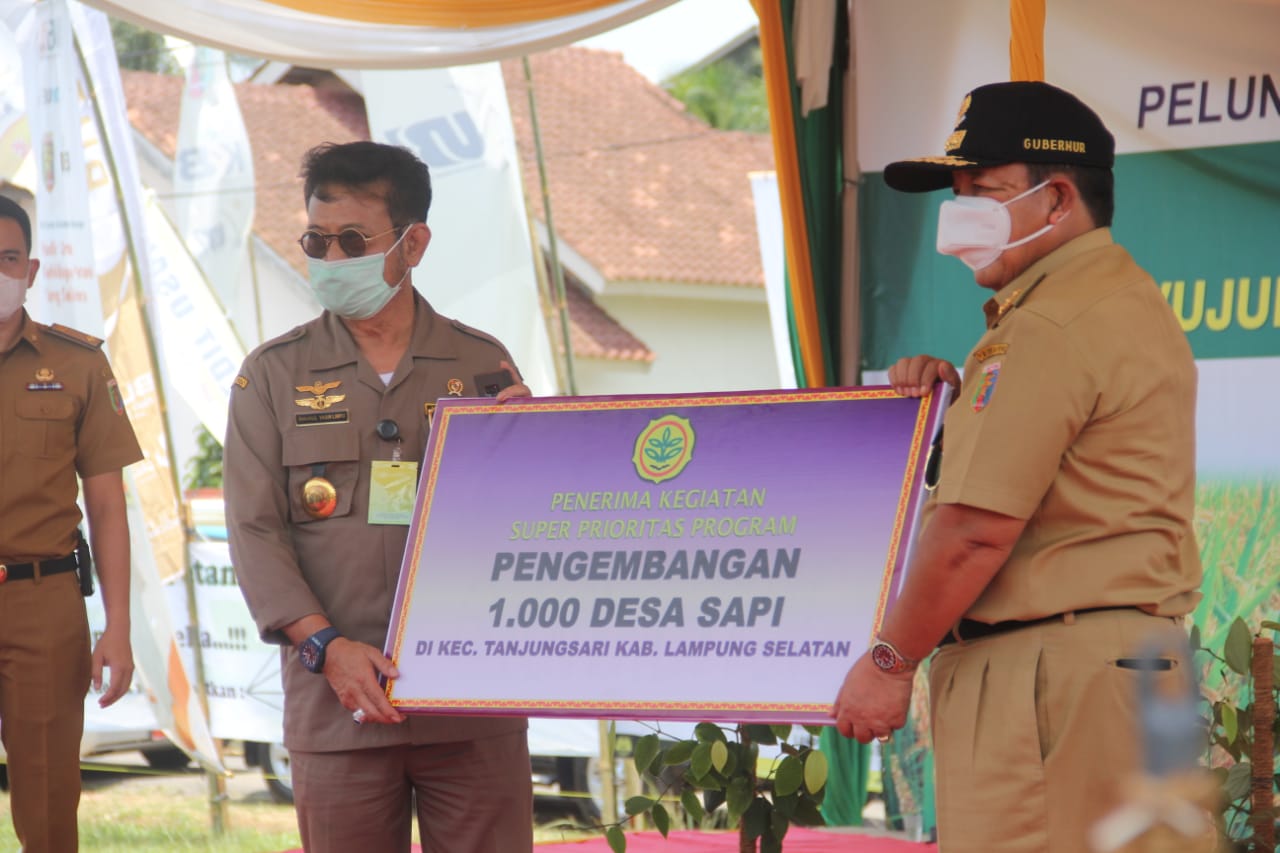 Mentan Syahrul Yasin Limpo memberi bantuan kepada Provinsi Lampung berupa penyerahana 1.000 ekor sapi. 