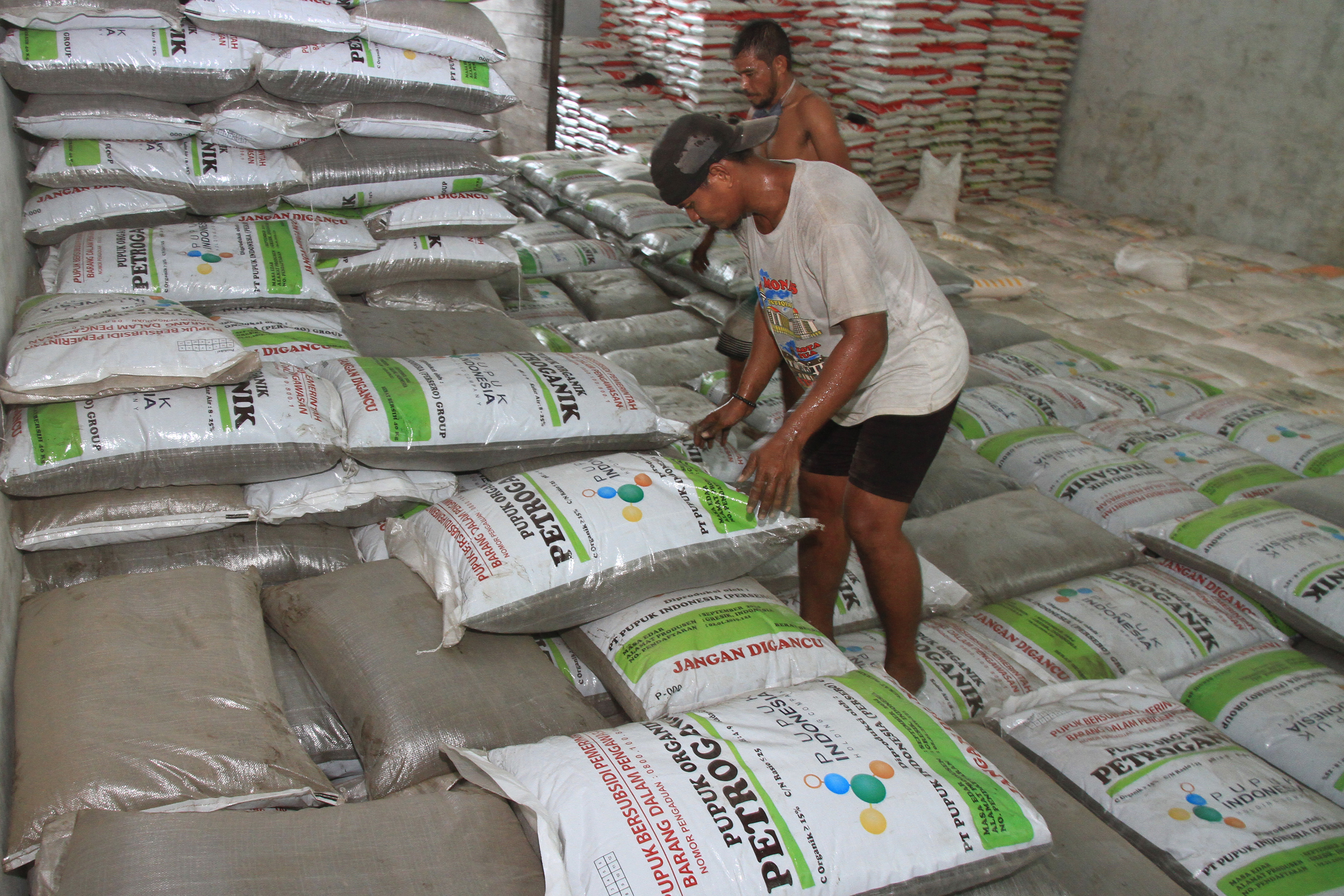  Pekerja mengangkut dan menata pupuk bersubsidi di Gudang Penyangga Petrokimia Gresik Desa Ujong Drien, Kecamatan Meureubo, Aceh Barat