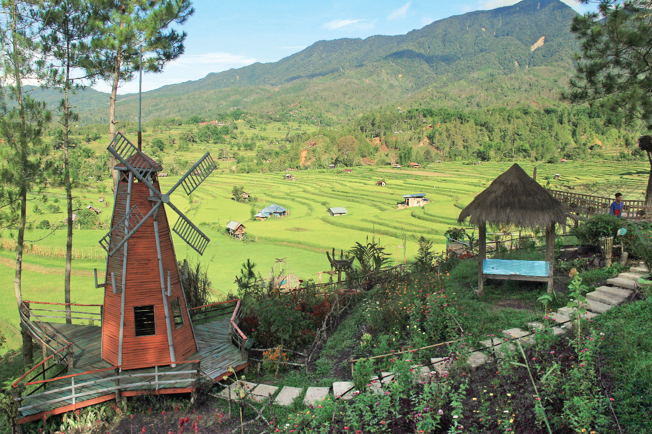 Wisata Mewah Tepi Sawah