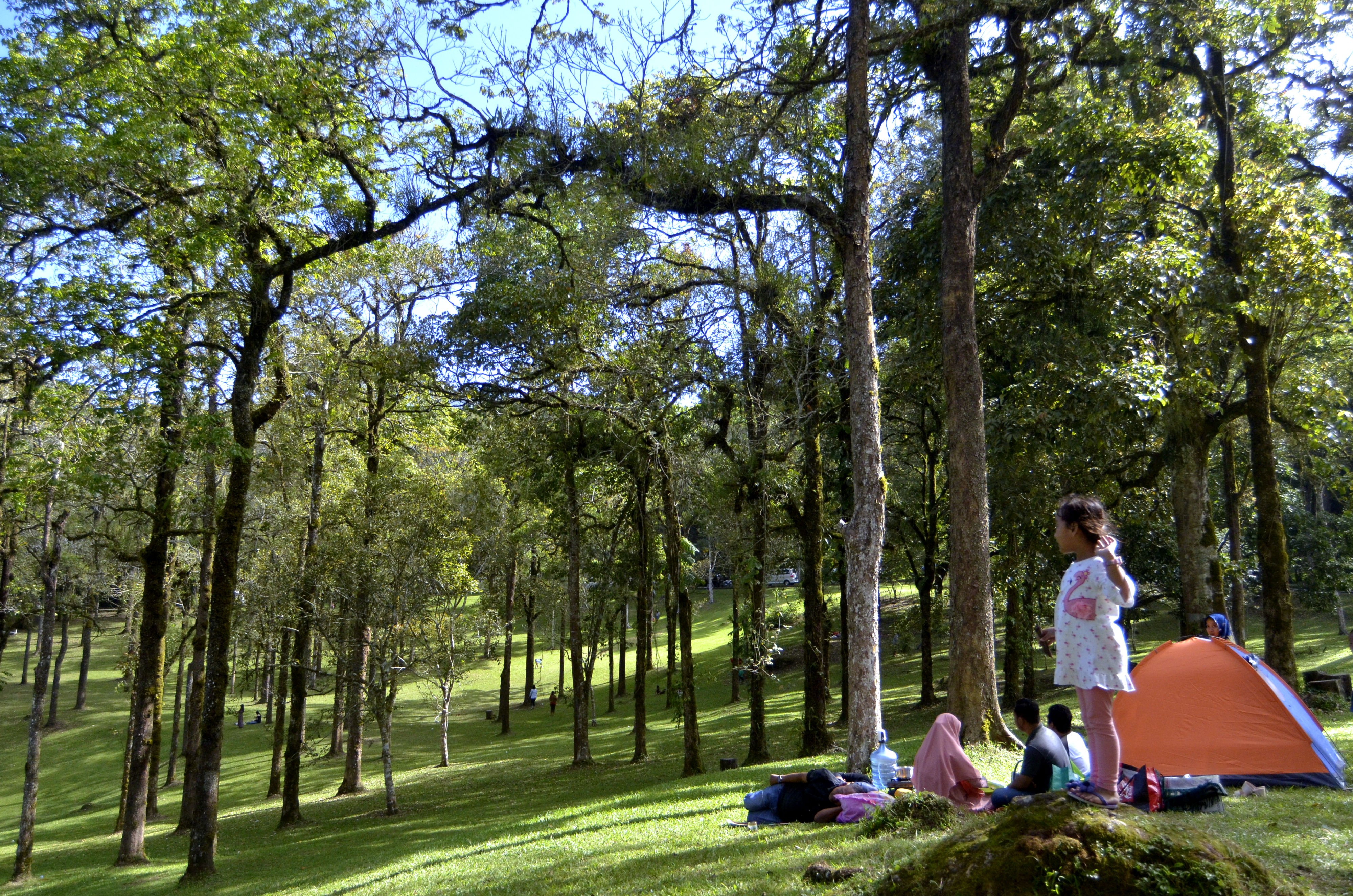 Wisatawan menikmati pemandangan di kawasan Kebun Raya Eka Karya Bali, Tabanan, Bali, Minggu (23/8/2020).