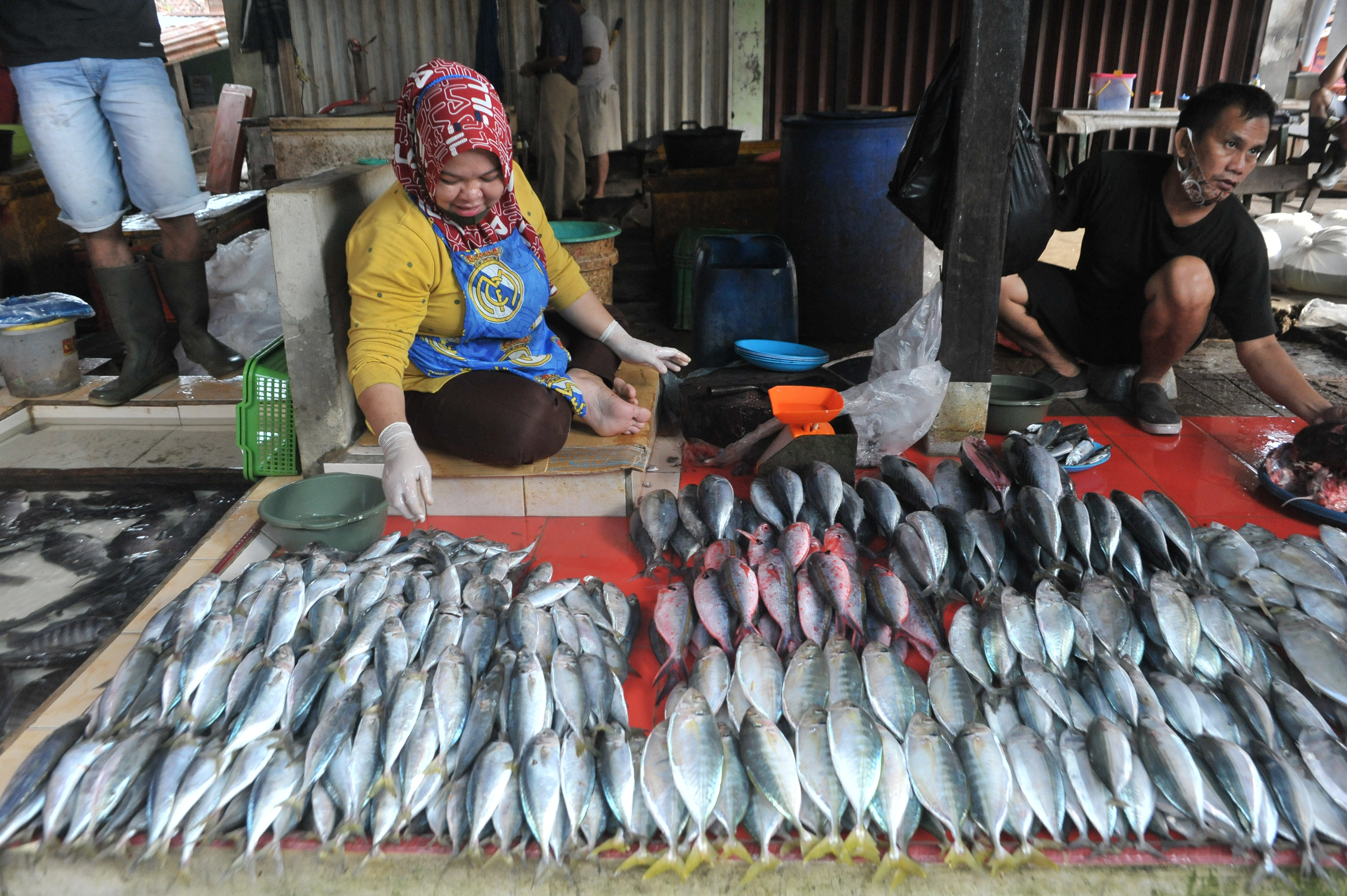 penjual menata ikan