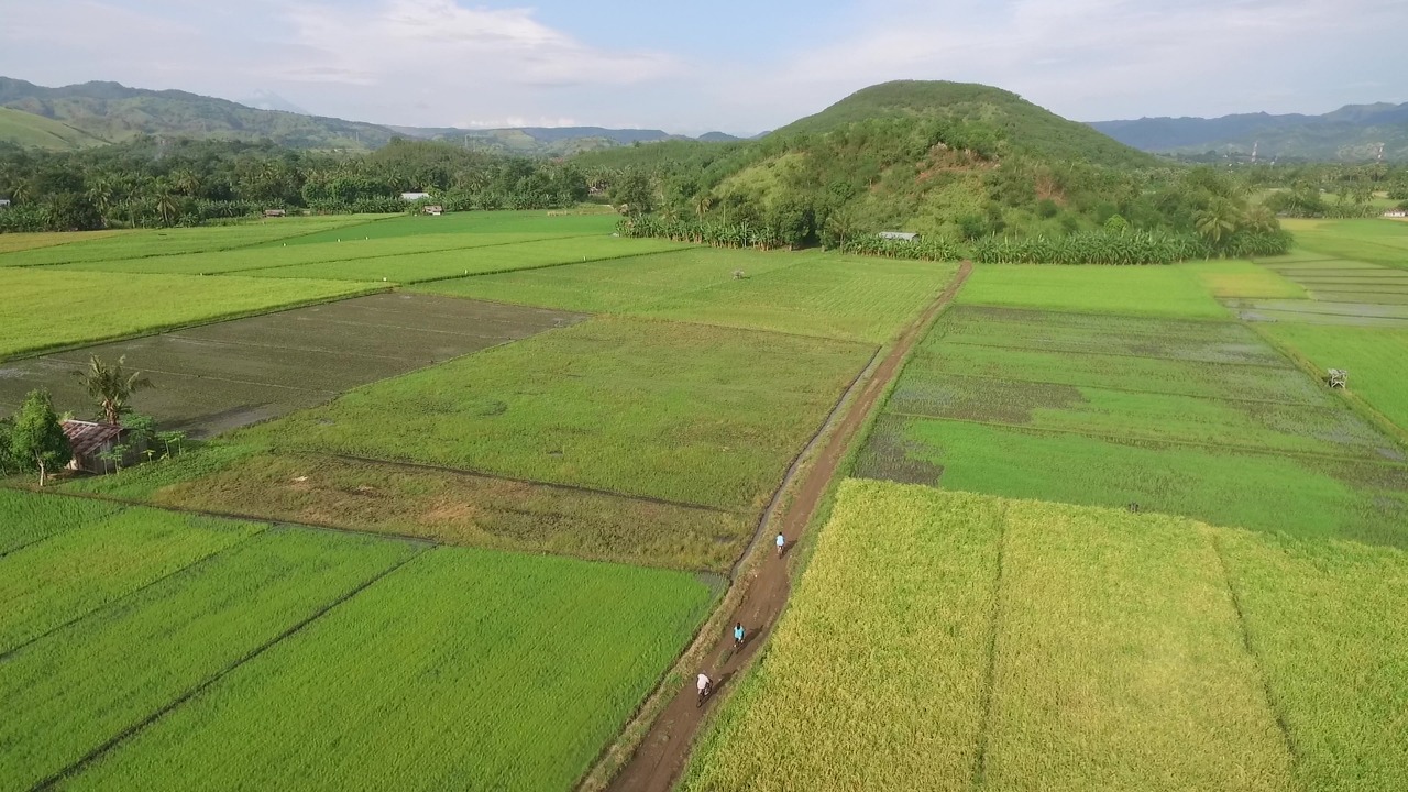 Potensi persawahan di Kabupaten Nagekeo, NTT
