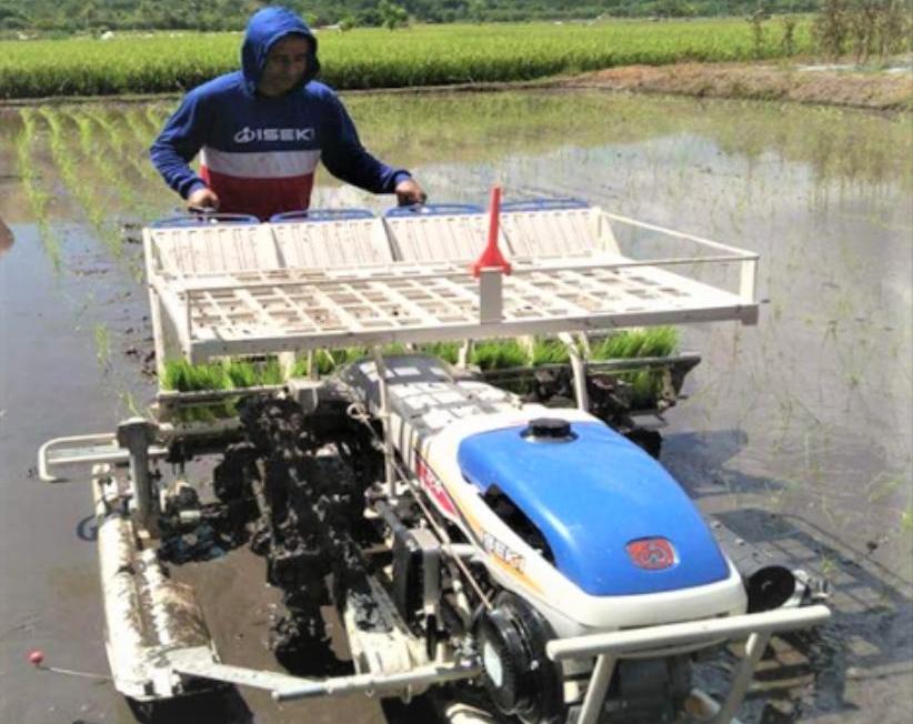Petani menggunakan planter hand tractor bantuan dari Kementrian Pertanian.