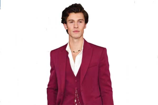 Penyanyi Shawn Mendes