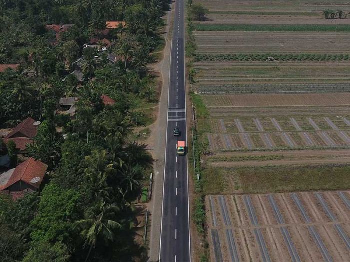 Ilustrasi: Keindahan Perkebunan Jalan Daendels di Kabupaten Kulonprogo, Jawa Tengah, Minggu (3/5).  