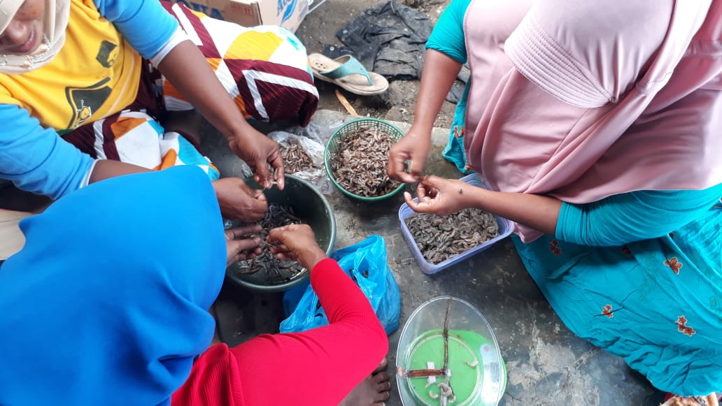 Warga mengolah hasil tangkapen laut dan tambak karena sudah ada pembangkit listrik tenaga hybrid (PLTH)