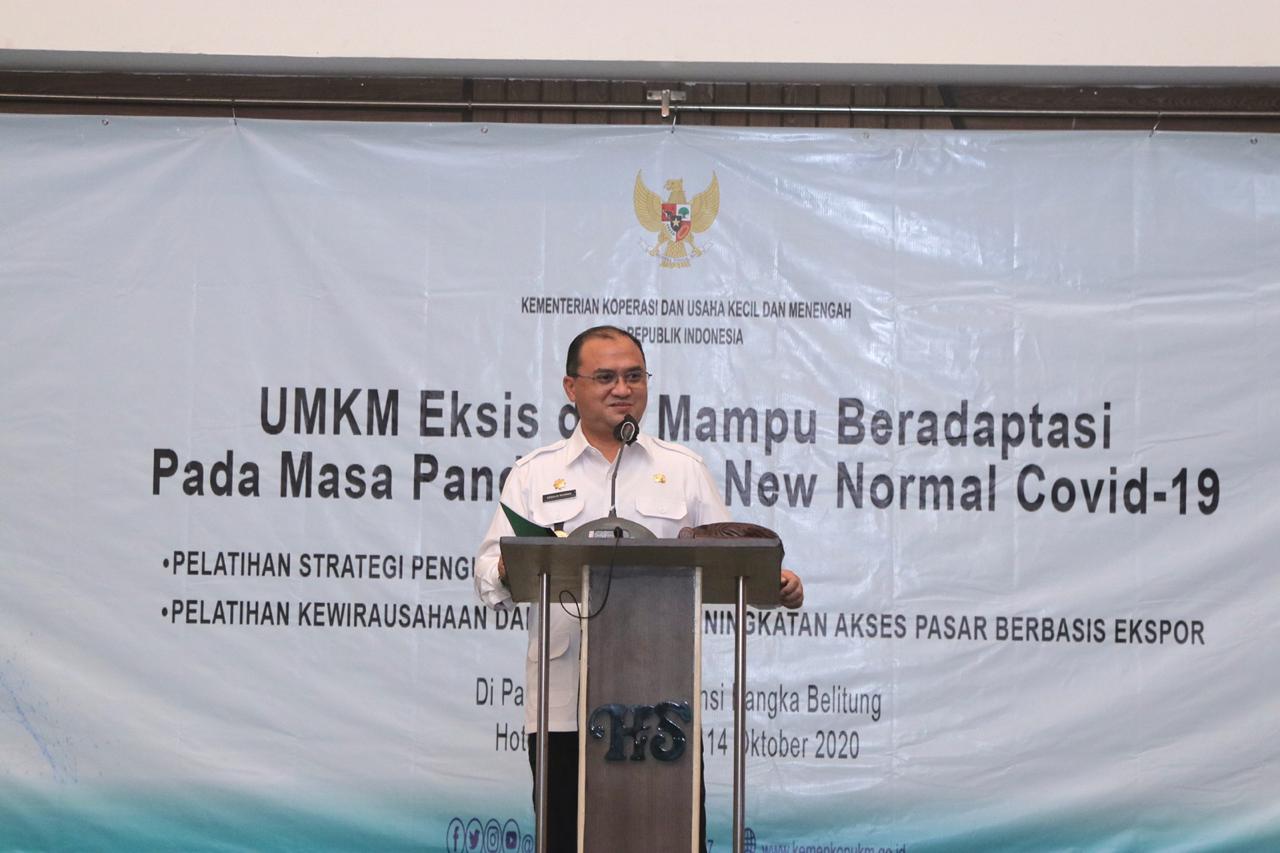 Gubernur Babel Erzaldi Rosman.