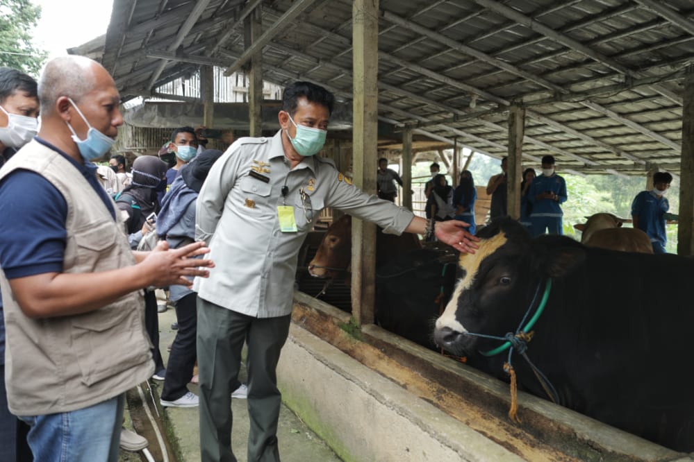 Mentan Syahrul Yasin Limpo meninjau Peternakan Kambing, Domba dan Sapi di Yayasan Adzkia, Desa Sukaresmi, Cisaat, Sukabumi, Jawa Barat. 