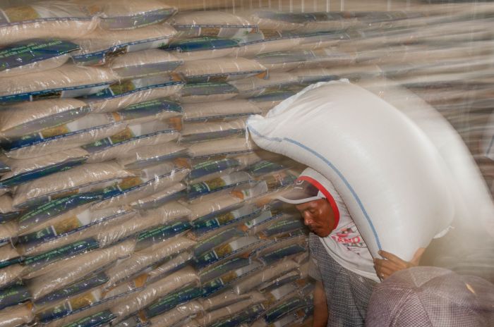 Ilustrasi: Pekerja mengangkut beras lokal di Perum Bulog Subdivre Lebak-Pandeglang, Banten. 