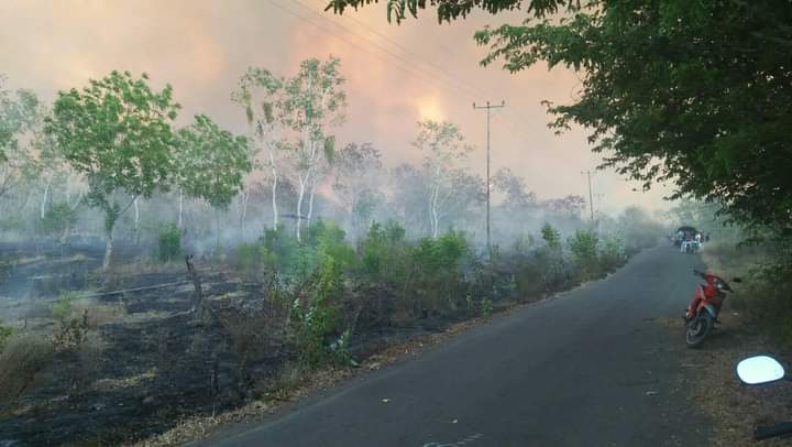 Kebakaran lahan di Ile Bura, Flotim, NTT pada Minggu (4/10) mulai padam setelah turun hujan di sana, Senin (5/10)