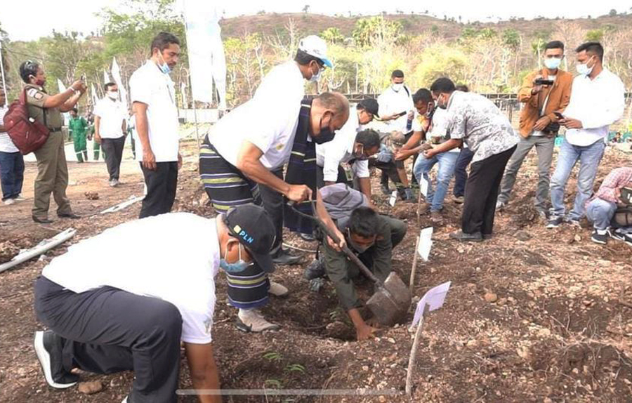 PT PLN UIW NTT bersama Gubernur NTT Viktor Laiskodat melakukan penanaman anakan pohon di Desa Mata Air, Kabupaten Kupang, NTT.