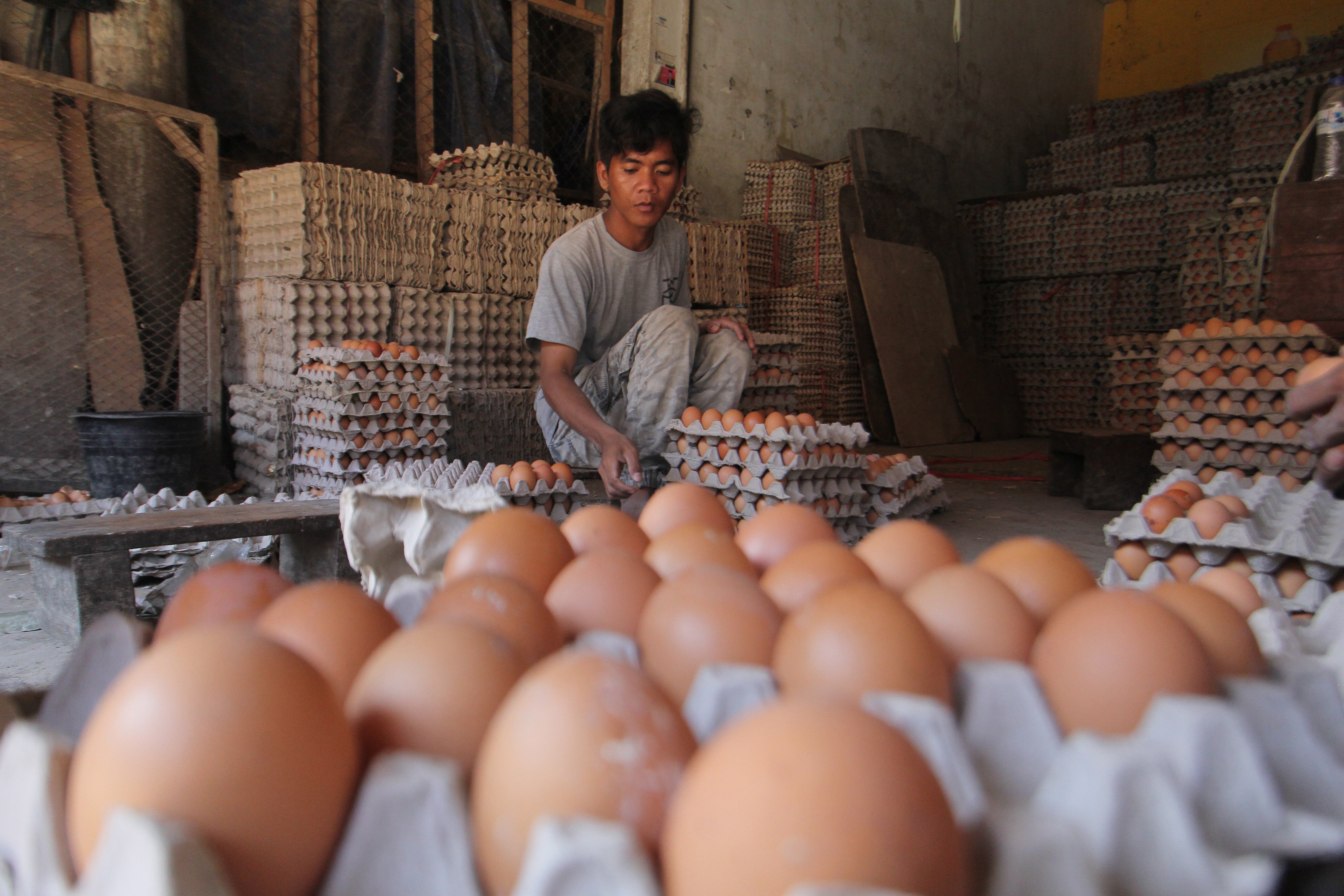 Pedagang menyortir telur ayam di Pasar Induk Indramayu, Jawa Barat.