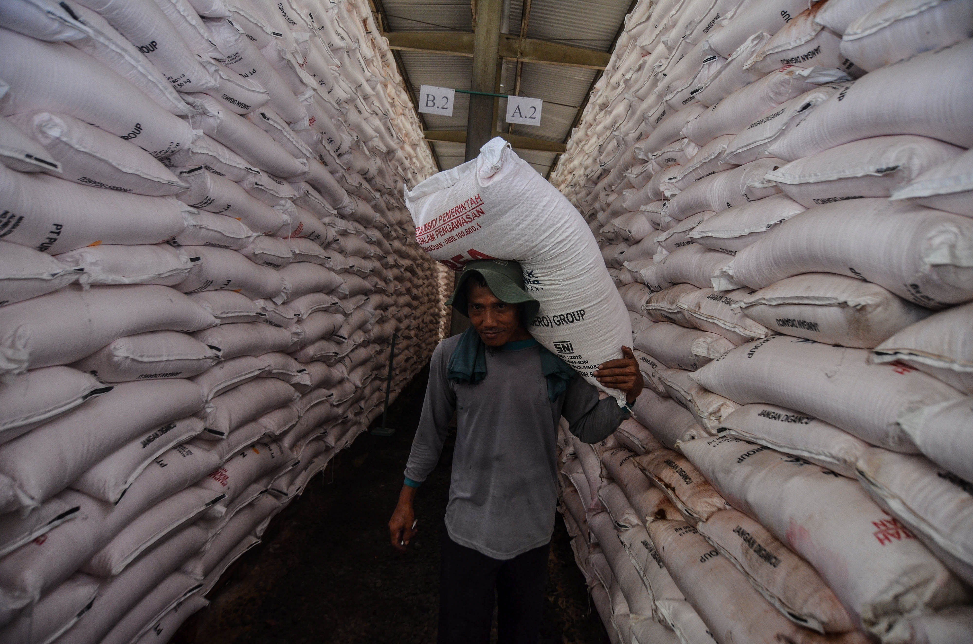 Pekerja mengangkut pupuk bersubsidi dari gudang untuk didistribusikan.
