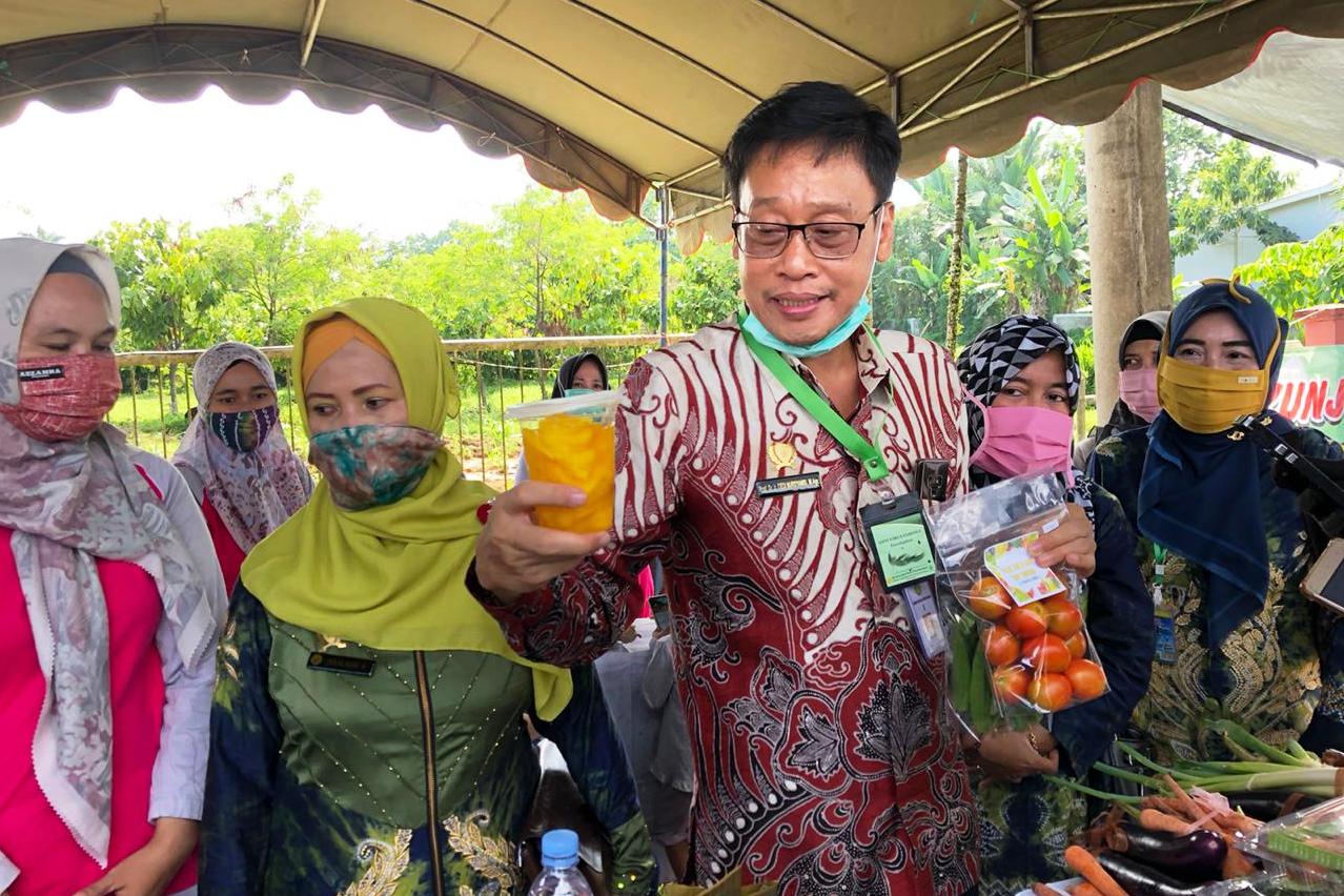 Kepala Badan Penyuluhan dan Pengembangan SDM Pertanian, Dedi Nursyamsi.