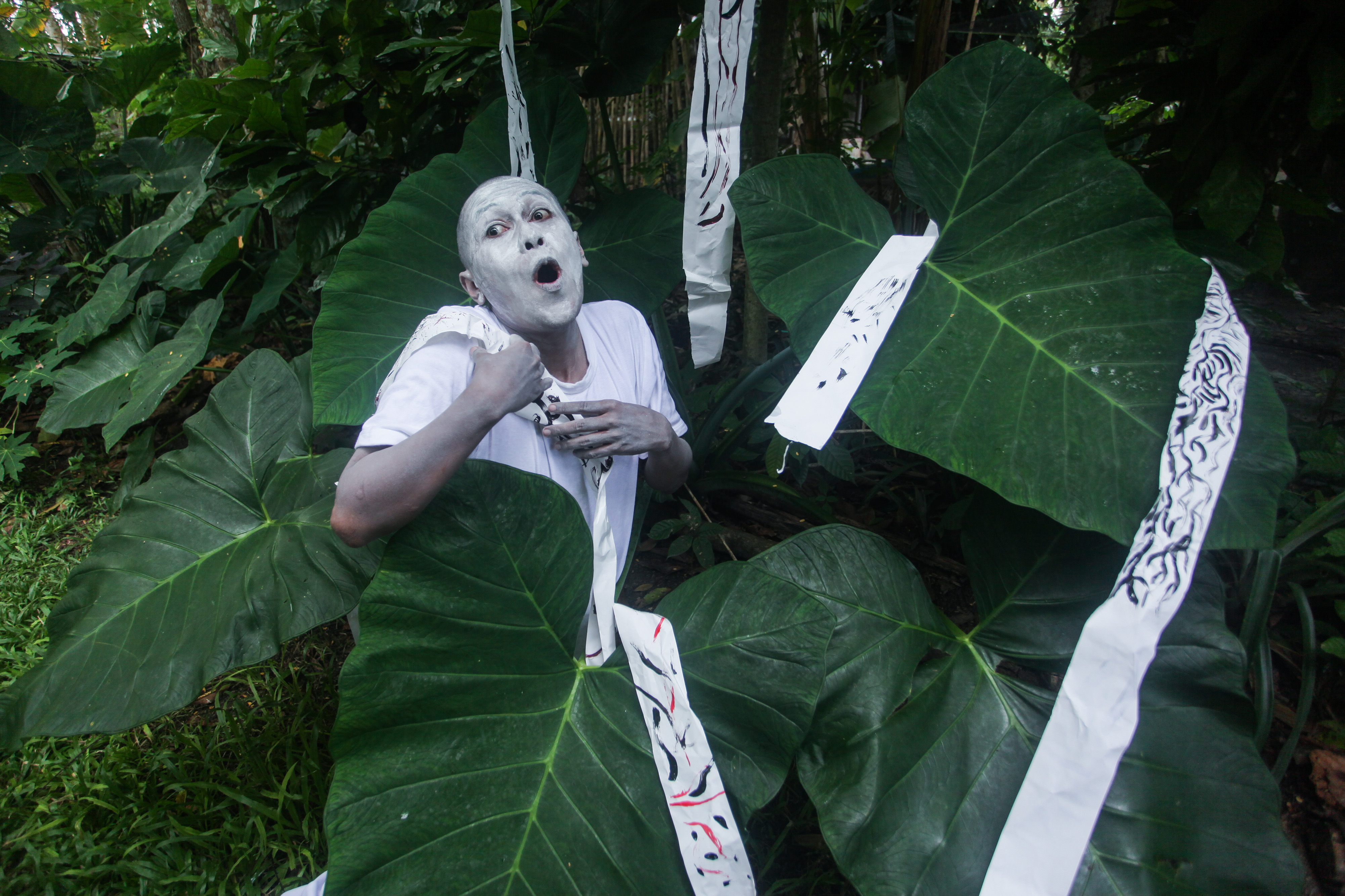 Presiden: Cari Solusi Persoalan Hutan dan Masyarakat