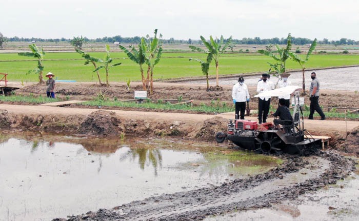 Istilah korporasi petani pertama kali dicetuskan Presiden Jokowi, pertengahan 2017, bentuk manajemen baru dalam pengelolaan agribisnis.