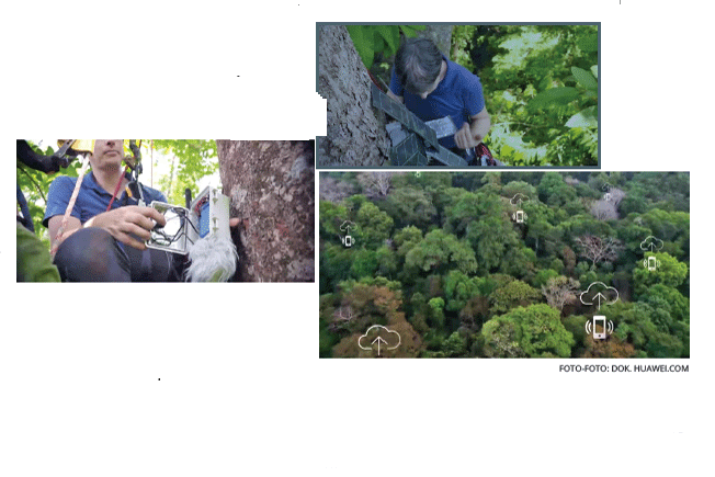 Kecerdasan Buatan untuk Lindungi Alam