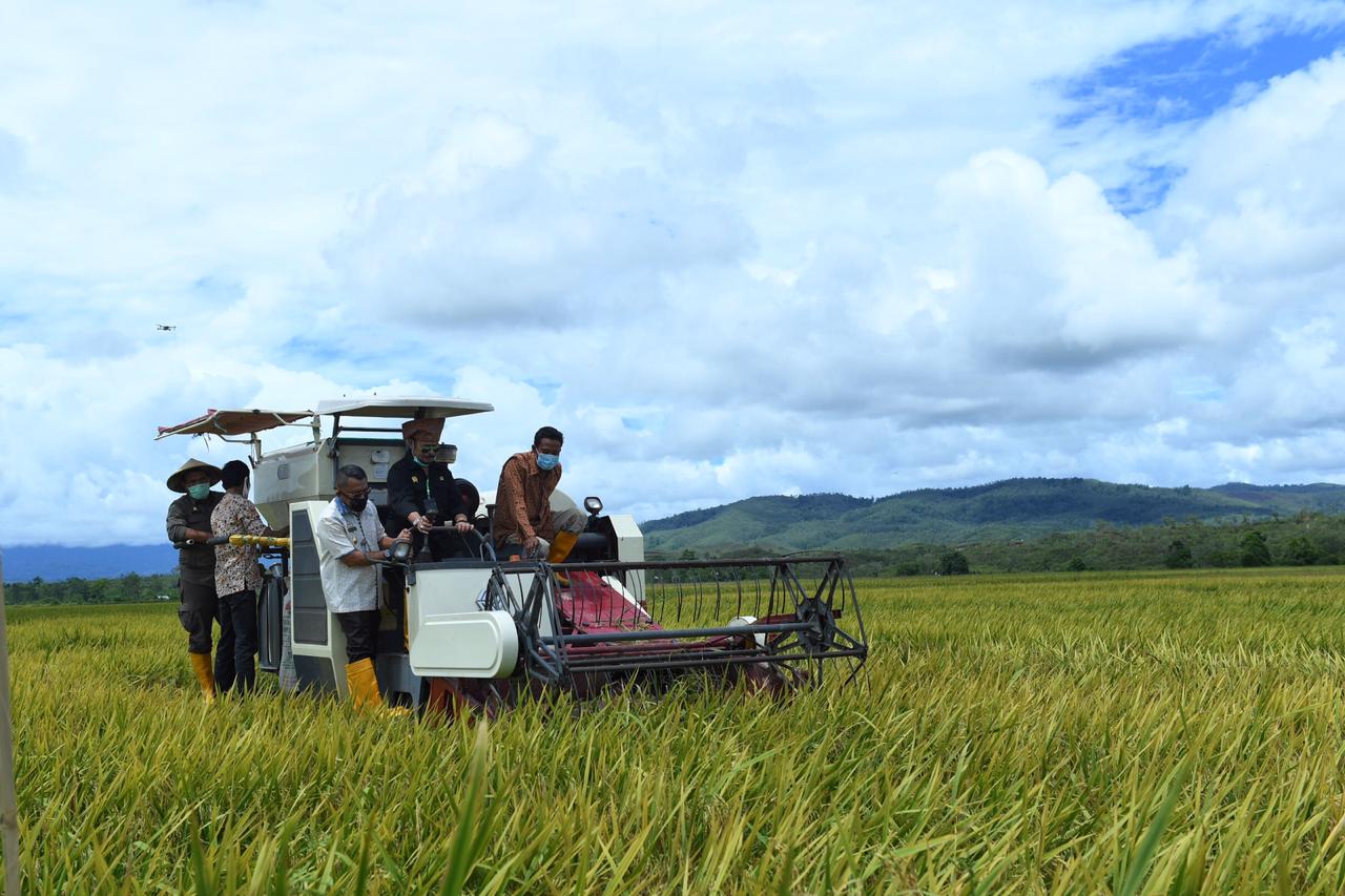  Mentan Syahrul Yasin Limpo mengendalikan harvester machine padi di Pulau Buru, Maluku. 