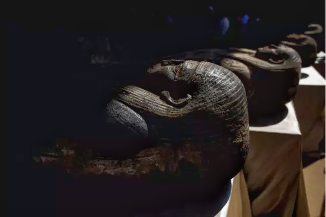 Sejumlah sarkofagus yang ditemukan di situs Saqqara, Giza. 