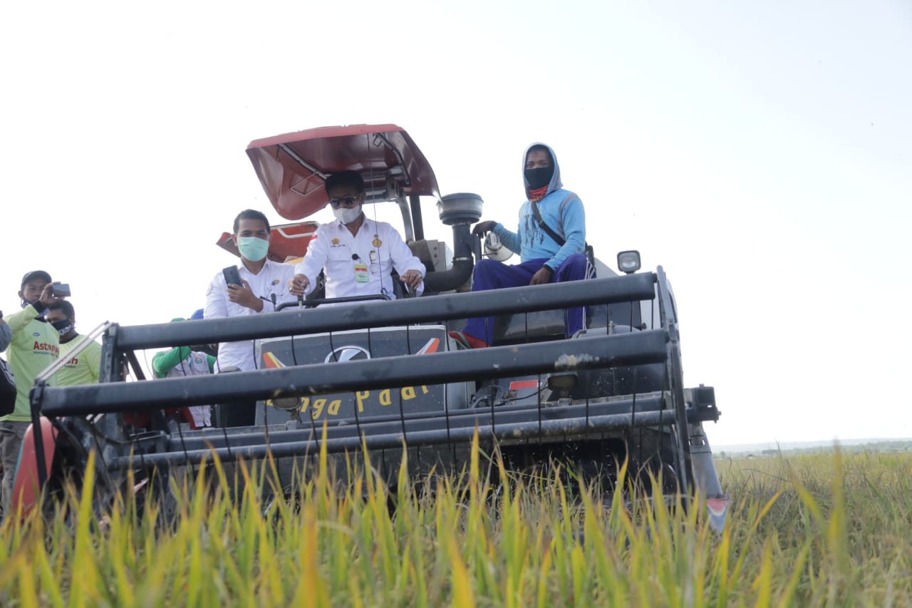 Mentan Syahrul Yasin Limpo didampingi Plt Bupati Konawe Selatan Arsalim Arifin saat melakukan panen raya padi di Desa Cialam Jaya.