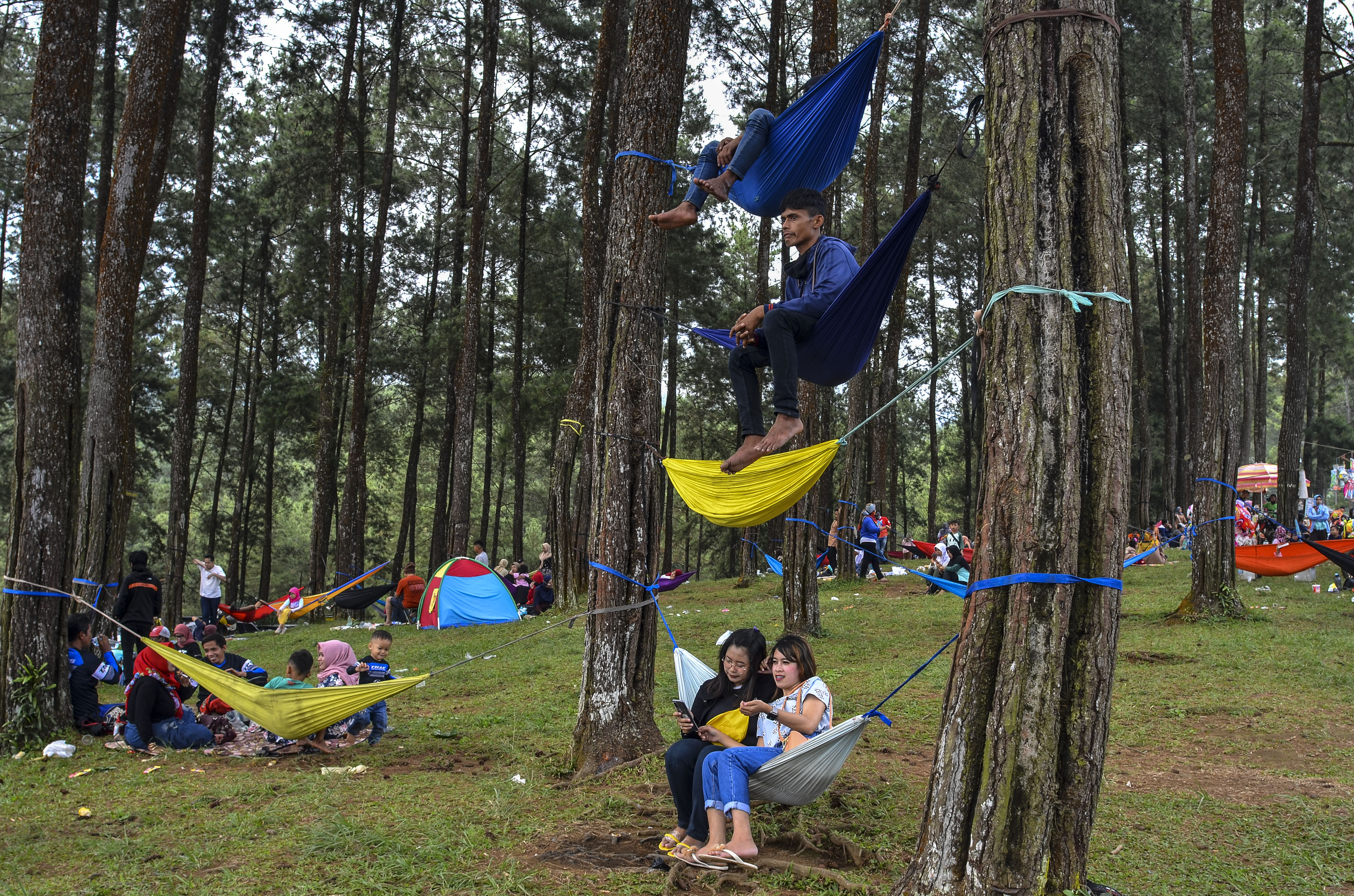  Pengunjung duduk di ayunan (hammock) yang dipasang di pohon pinus di Hutan Pinus, Darmacaang, Kabupaten Ciamis, Jawa Barat, Minggu (8/11).