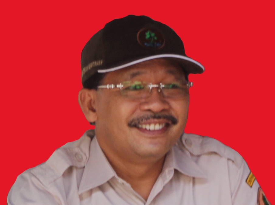 Direktur Pengendalian Kebakaran Hutan dan Lahan KLHK Basar Manullang.