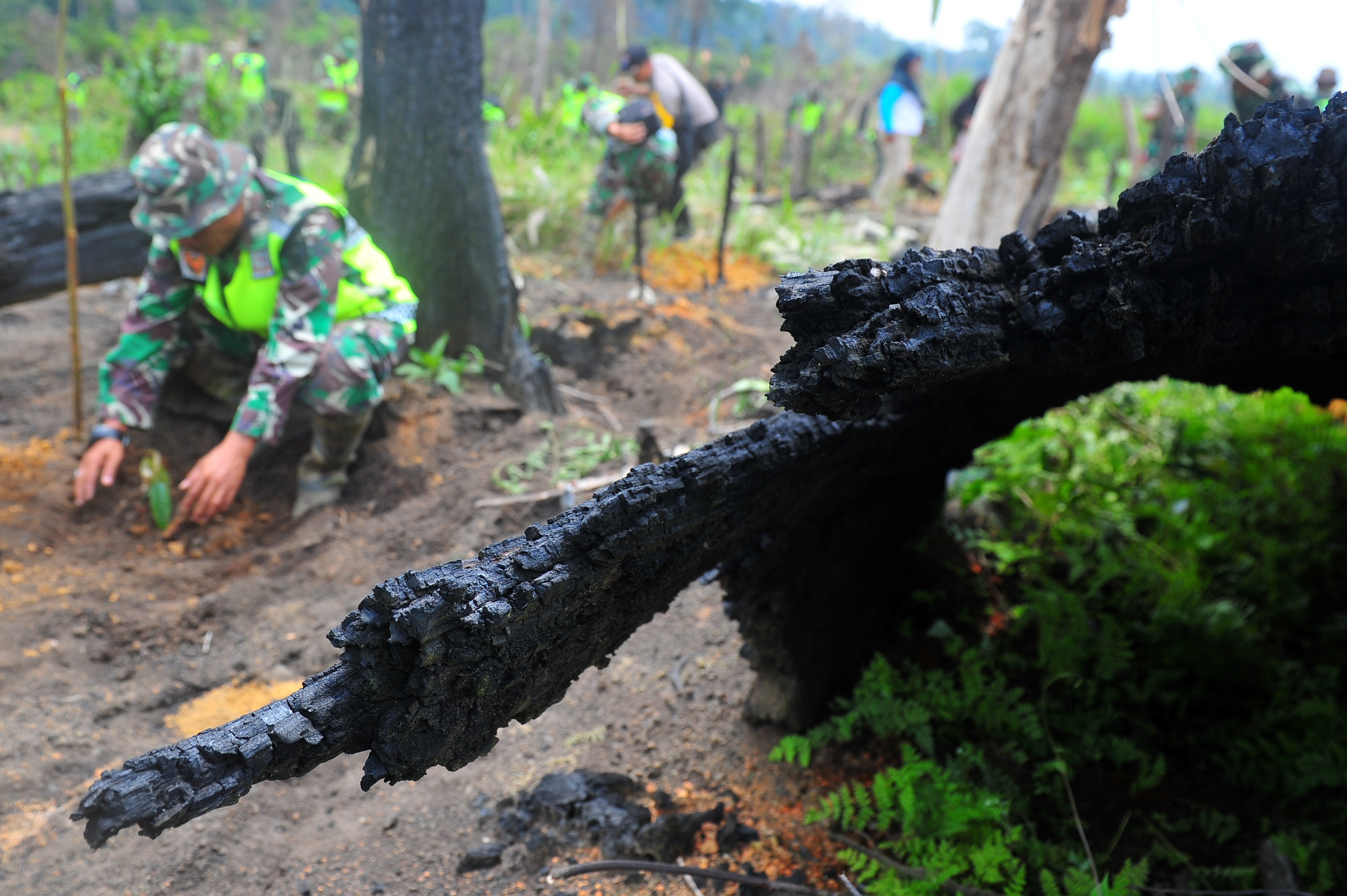 Prajurit TNI melakukan penanaman pohon saat Pencanangan Gerakan Pemulihan Kawasan Bekas Kebakaran Hutan dan Lahan (Karhutla).
