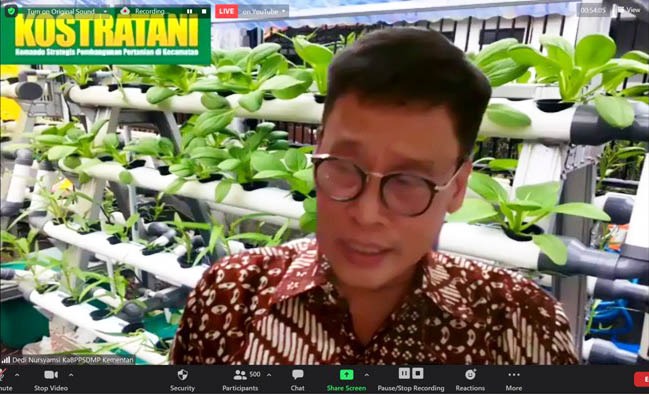 Kepala BPPSDMP Kementan, Dedi Nursyamsi 