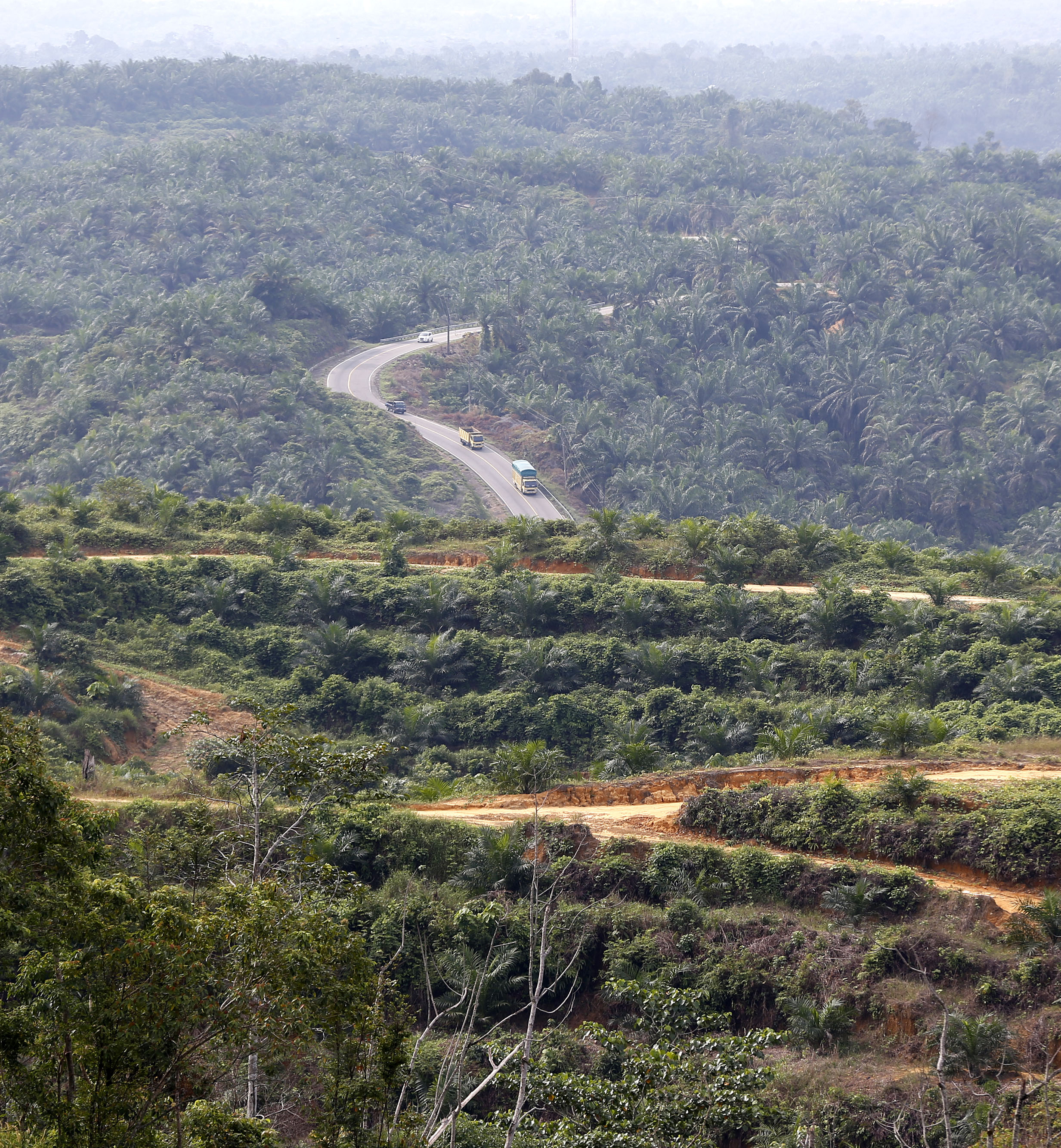 Pilkada Momentum Untuk Mencapai Komitmen Iklim 