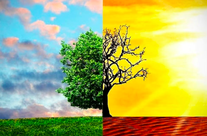 Hadapi Perubahan Iklim, KLHK Sinergikan Kebijakan Pusat dan Daerah