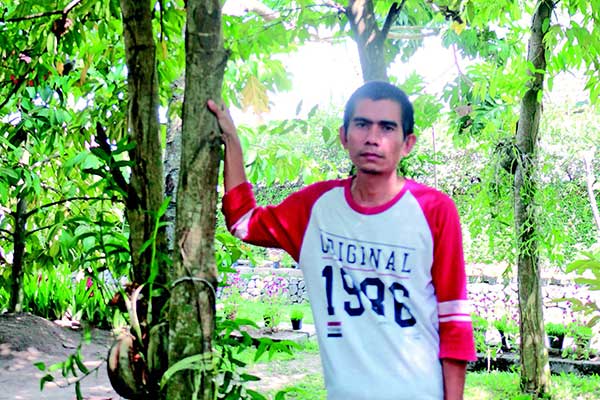 Maharani, membudidayakan gaharu demi pemberdayaan perekonomian petani.