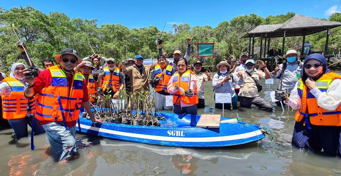  Program Padat Karya Penanaman Mangrove (PKPM) Tahun 2020 di Provinsi Bali pada 11–14 November 2020. 